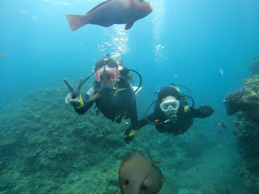 武藤潜水に投稿された画像（2024/5/26）