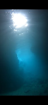 武藤潜水に投稿された画像（2024/5/26）