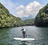 屋久島フィールドガイドスピニカに投稿された画像（2024/5/26）