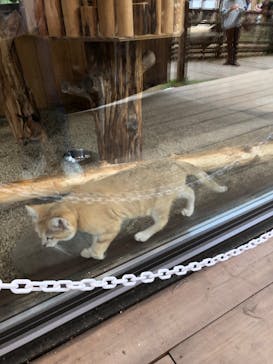 池の平ファミリーランドに投稿された画像（2024/5/26）