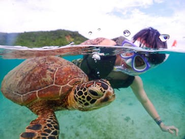 宮古島マリンショップSmileyに投稿された画像（2024/5/26）