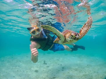 宮古島マリンショップSmileyに投稿された画像（2024/5/26）