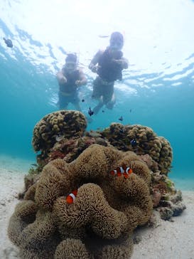 宮古島マリンショップSmileyに投稿された画像（2024/5/26）