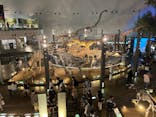 福井県立恐竜博物館に投稿された画像（2024/5/26）