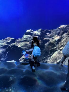 AOAO SAPPOROに投稿された画像（2024/5/26）