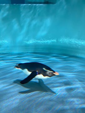 AOAO SAPPOROに投稿された画像（2024/5/26）