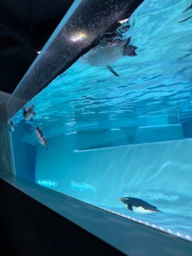 AOAO SAPPOROに投稿された画像（2024/5/26）