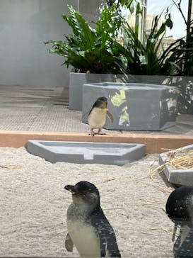 AOAO SAPPOROに投稿された画像（2024/5/26）