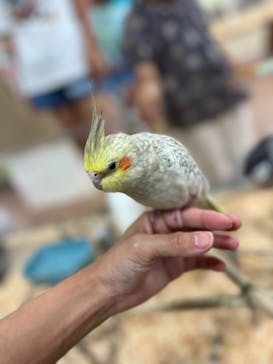 いきもの探検隊上尾に投稿された画像（2024/5/26）