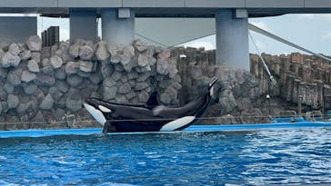 名古屋港水族館に投稿された画像（2024/5/26）