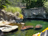 天王寺動物園に投稿された画像（2024/5/26）