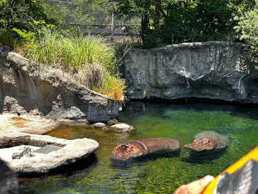天王寺動物園に投稿された画像（2024/5/26）