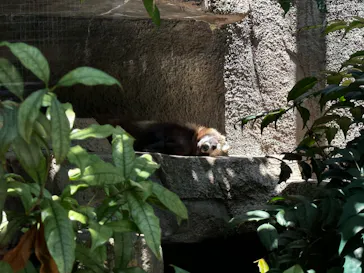 天王寺動物園に投稿された画像（2024/5/26）