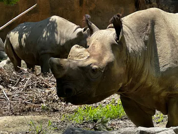 天王寺動物園に投稿された画像（2024/5/26）