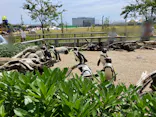 仙台うみの杜水族館に投稿された画像（2024/5/26）