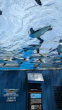 サンシャイン水族館に投稿された画像（2024/5/26）