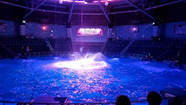 マクセル アクアパーク品川に投稿された画像（2024/5/26）