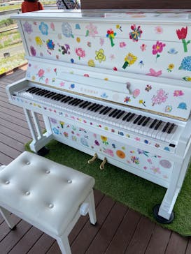 浜名湖花博2024に投稿された画像（2024/5/26）