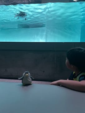 AOAO SAPPOROに投稿された画像（2024/5/26）