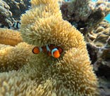 宮古島 ADVENTURE PiPi（ミヤコジマ アドベンチャー ピピ）に投稿された画像（2024/5/26）