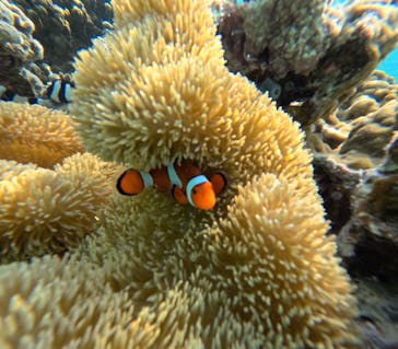 宮古島 ADVENTURE PiPi（ミヤコジマ アドベンチャー ピピ）に投稿された画像（2024/5/26）