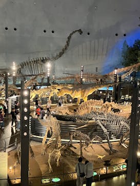 福井県立恐竜博物館に投稿された画像（2024/5/26）
