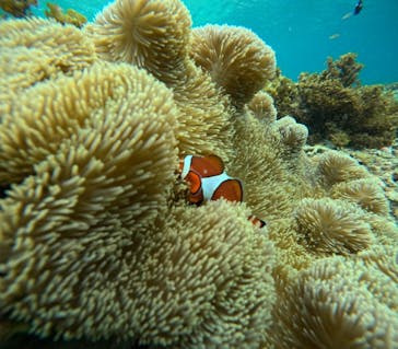  マリンショップHAPPYに投稿された画像（2024/5/26）