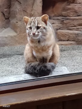 那須どうぶつ王国に投稿された画像（2024/5/26）