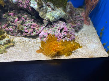 仙台うみの杜水族館に投稿された画像（2024/5/26）