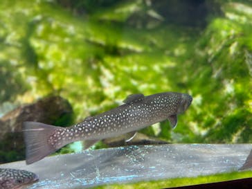 仙台うみの杜水族館に投稿された画像（2024/5/26）