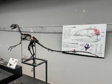 福井県立恐竜博物館に投稿された画像（2024/5/26）