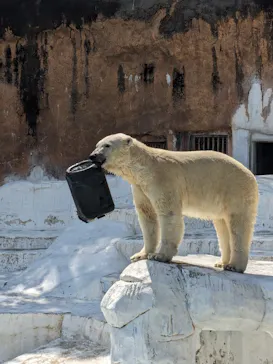 天王寺動物園に投稿された画像（2024/5/26）