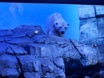 横浜・八景島シーパラダイスに投稿された画像（2024/5/26）