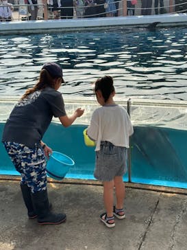 横浜・八景島シーパラダイスに投稿された画像（2024/5/26）
