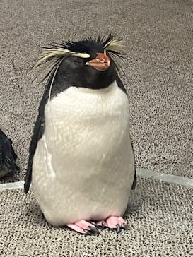 AOAO SAPPOROに投稿された画像（2024/5/26）