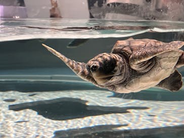 AOAO SAPPOROに投稿された画像（2024/5/26）