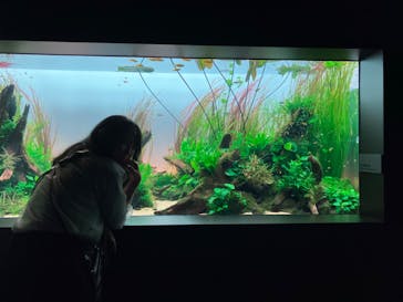 AOAO SAPPOROに投稿された画像（2024/5/26）