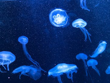 AOAO SAPPOROに投稿された画像（2024/5/26）