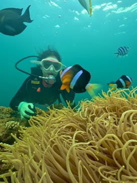 DIVING-SHOP SUNSに投稿された画像（2024/5/26）