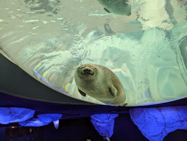 京都水族館に投稿された画像（2024/5/26）