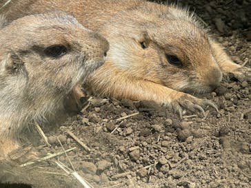 横浜・八景島シーパラダイス　プレジャーランドに投稿された画像（2024/5/26）