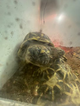 横浜・八景島シーパラダイス　プレジャーランドに投稿された画像（2024/5/26）