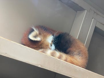 横浜・八景島シーパラダイス　プレジャーランドに投稿された画像（2024/5/26）