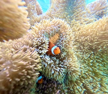 宮古島マリン SUGAR3（シュガースリー）に投稿された画像（2024/5/25）