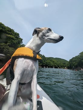 stripes!（ストライプス）に投稿された画像（2024/5/26）