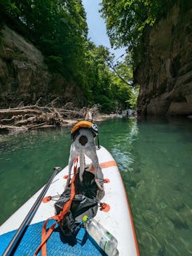 stripes!（ストライプス）に投稿された画像（2024/5/26）