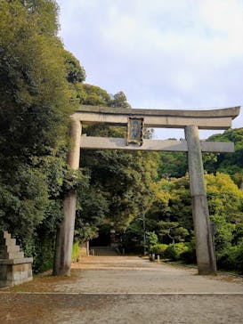 京阪電車に投稿された画像（2024/5/26）