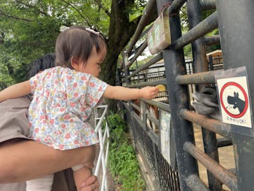 宇都宮動物園に投稿された画像（2024/5/26）
