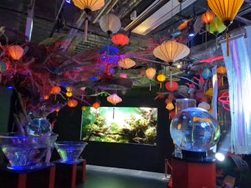 UWS AQUARIUM GA☆KYOに投稿された画像（2024/5/26）