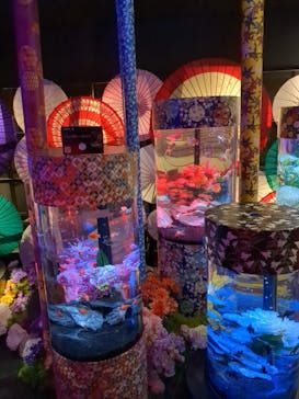 UWS AQUARIUM GA☆KYOに投稿された画像（2024/5/26）
